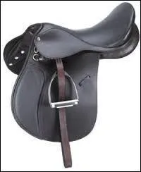 Quel est cet objet ?