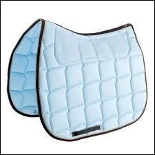 Quel est cet objet ?