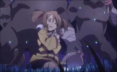 Le familier de Sinon est...