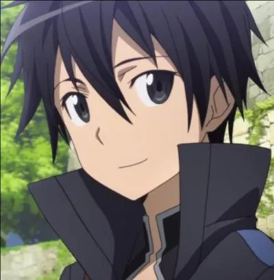 Kirito pensait que si cette guilde rejoignait le groupe des conquérants...
