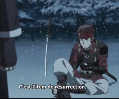 L'item de résurrection que Kirito drope à Noël permet de...