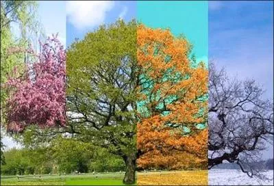 La jeune et jolie jeune fille qui remporta le concours "jeunes prodiges" que vous avez certainement vu à la télévision, nous a enchantés avec une saison des "quatre saisons de Vivaldi. De quelle saison s'agit-il ?