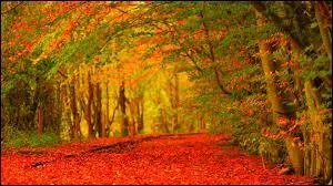 Quel roman et son auteur sont liés au Canada ?