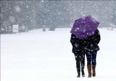 Plusieurs chanteurs ont un point commun, le mot "neige"figure dans un de leurs titres, Rendez sa chanson à Elsa.