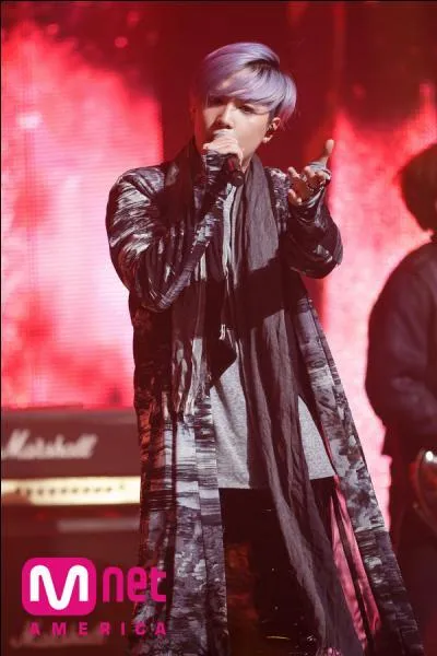 Qui sont les chanteurs du groupe ?