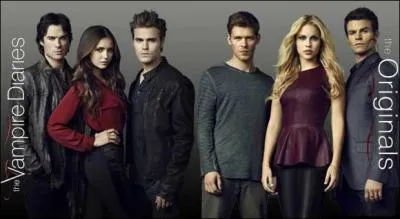 De quel livre la série "The Vampire Diaries" est-elle une adaptation ?