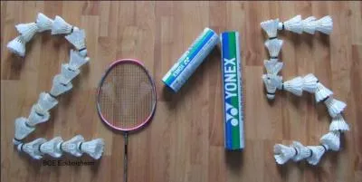 Où s'est déroulé le championnat du monde de badminton en 2015 ?