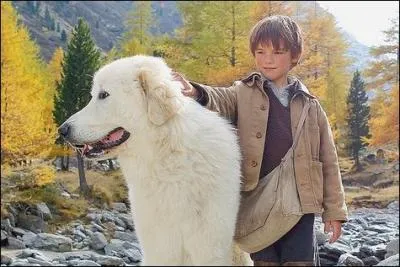 Qui est le réalisateur du dernier film "Belle et Sébastien" ?