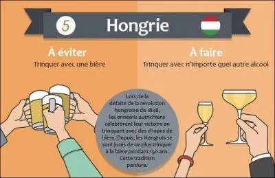 Les Hongrois nous interdisent tout bonnement de trinquer... avec de la bière ! Mais pourquoi donc ?