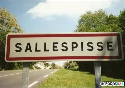 Le panneau ci-contre vous fera entrer dans la ville de Sallespisse, dans les Pyrénées-Atlantiques (Aquitaine). Le château situé dans cette ville a abrité pendant 37 années Amaury de Cazanove, un poète peu connu. Il se comparait aux plus grands poètes. Quel surnom Roger Gonot lui a-t-il attribué ?