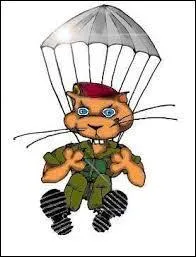 Maxime Le Forestier est dans les nuages. De quel métier est-il question dans la chanson ?