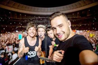 Quand les One Direction sont venus en France, o&ugrave; ont-ils fait leur concert ?