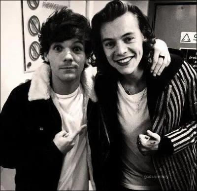 Naughty Boy a eu des clashes avec un membre des One Direction, lequel ?