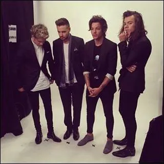 Quel est leur premier clip sans Zayn Malik ?