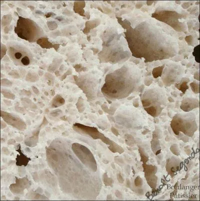 Le mot commence par Am...