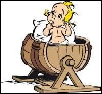 Dans l'album « Le fils d'Astérix », quel est le point commun entre Césarion (le bébé) et Idéfix  ?