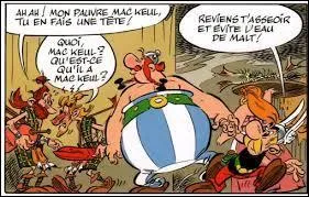 Dans « Astérix chez les Pictes », qui est Mac Keul (en référence à Johnny Hallyday)  ?