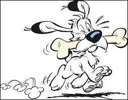 Quel âge Idéfix (idée fixe) a-t-il eu en 2015  ?