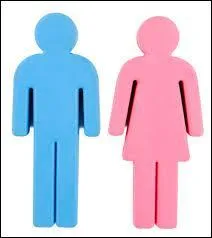 Lequel de ces mots est du genre féminin ?