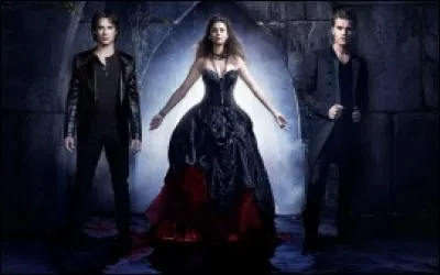 Qui sont les personnages principaux de "Vampire Diaries" ?