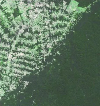 Voici deux pays où la forêt n'est pas considérée de la même manière : où donc ?
