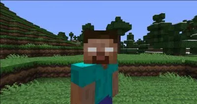 Herobrine existe-il vraiment ?