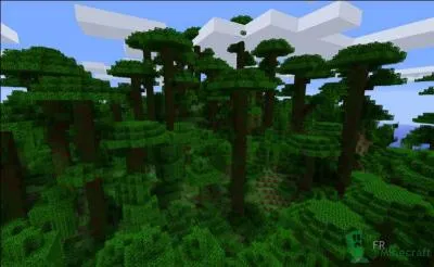 Lequel de ces biomes Minecraft n'est pas rare ?