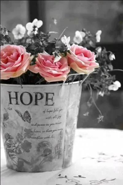 Le premier Champagne a été inventé par le moine bénédictin, Dom Pérignon, qui importa de Limoux la méthode champenoise. Quelle était la fonction de Dom Pérignon ?