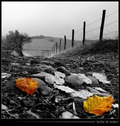 Quel est ce roman de Boris Vian ?