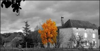 Qui a écrit "Le château de ma mère" ?