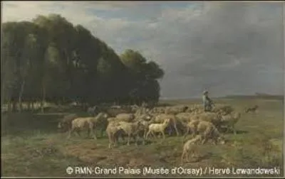 Huile sur toile (H : 1, 76 m x L : 2, 80 m), peinte en 1861 "Troupeau de moutons dans un paysage" est l'oeuvre d'un peintre, illustrateur et aquafortiste (graveur sur métal) français né en 1813 et décédé en 1894, à Paris. Mais comment se nomme ce dernier ?