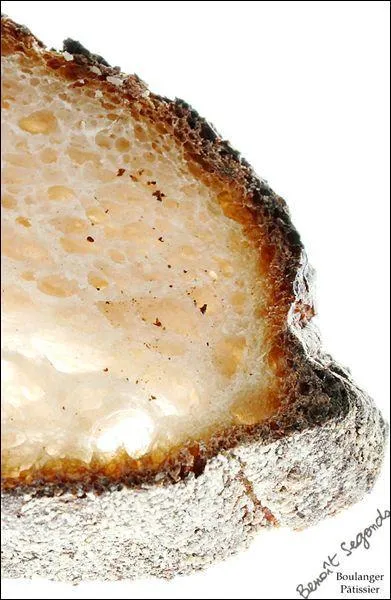 Dans quel art peut-on admirer une "croûte" ?