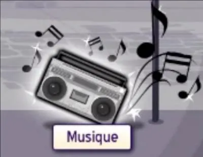 Quelle catégorie de musique n'existe pas ?