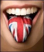 Quelle expression est souvent utilisée pour désigner la langue anglaise ?