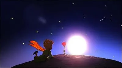 Qu'est-ce que le Petit Prince comprend dans la roseraie ?
