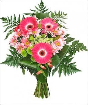 De quelle plante ornementale, au feuillage lger et trs fin, les fleuristes se servent-ils pour agrmenter les bouquets ?