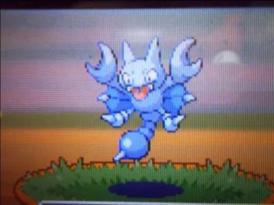 Quant à sa description...