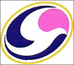 Quelle marque se cache derrière ce logo ?