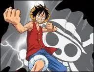 Quel est l'objet fétiche de ce pirate ?