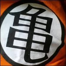 Dans quelle série animée créée par Akira Toriyama peut-on voir ce symbole ?