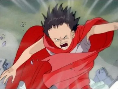 Quel manga adapté en film d'animation a popularisé le dessin japonais en Occident dans les années 80 ?