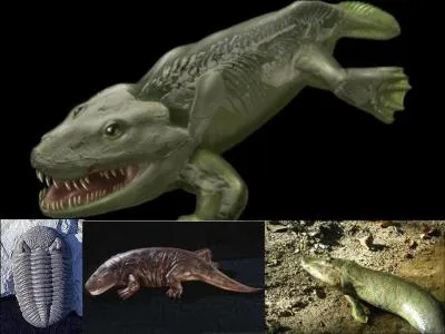 Il y a 440 millions d'annes, un grand changement apparat. Il donnera, bien plus tard et avec de nombreux changements, l'espce humaine.
Que se passe-t-il ?