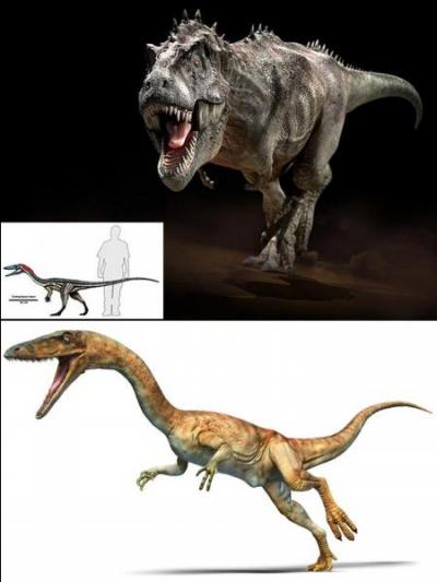 Il y a 230 millions d'années, une nouvelle forme d'animaux apparaît. Pour l'instant, ils ne sont pas très grands. Ils tiendront le haut de l'affiche « que » pendant 165 millions d'années.Qui sont-ils ?