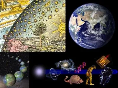 Situons le jour de la cration du monde le 1 janvier. Situons l'poque actuelle (an 2009 par exemple), en fin d'anne, le 31 dcembre.
A quel moment de l'anne l'homme (Homo Sapiens) apparat ?