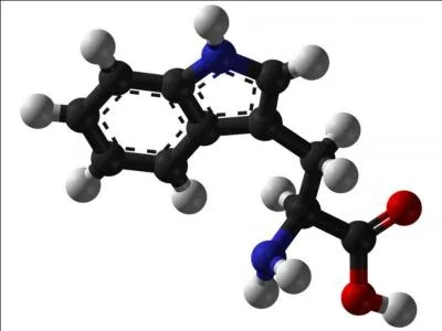 Cela commence  bouger ! Il y a 4, 2 milliards d'annes les premiers lments ncessaires  la vie apparaissent.
Quels sont-ils ?