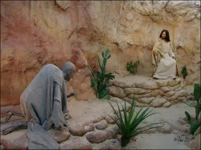 Cet homme supplia de le purifier, Jésus le toucha et sa lèpre le quitta, aussitôt il le renvoya en lui préconisant un conseil, lequel ?