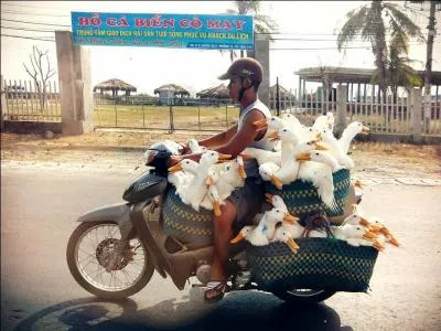 Et voici le mme homme, quelques semaines plus tard ! Mais o peut-on le voir ?