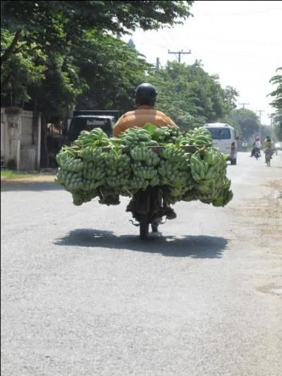 Quelle expression devrait vous venir tout de suite à l'esprit ? ("Si, si", dit l'impératrice, "je sais que vous n'en manquez pas ! " )