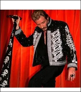 Voici Johnny Halliday en concert.