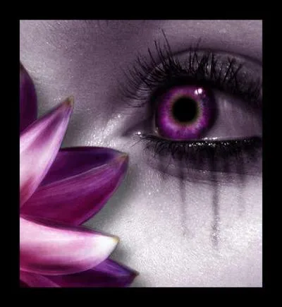 Quel est le nom du  blanc  de l'oeil ?